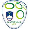 Slovenien matchtröja